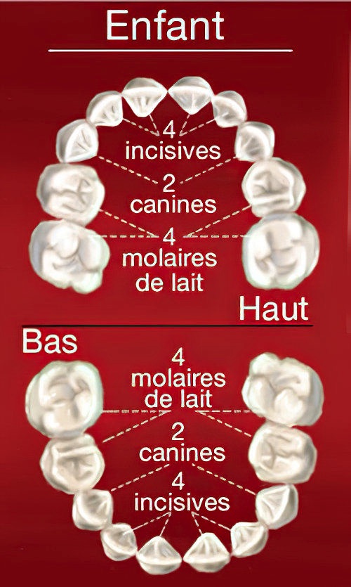 Cabinet orthodontiste Guilherand Granges